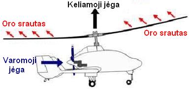 Malūnsparnis